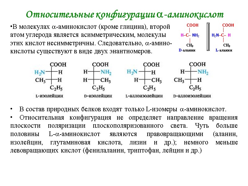 Относительные конфигурации -аминокислот В молекулах -аминокислот (кроме глицина), второй атом углерода является асимметрическим, молекулы Относительные конфигурации -аминокислот В молекулах -аминокислот (кроме глицина), второй атом углерода является асимметрическим, молекулы